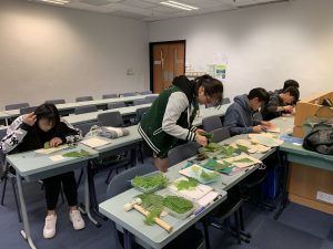 Green Workshops